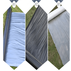 Film de paillis en plastique agricole contrôle des mauvaises herbes 6 Mil bâches en plastique noir pour jardins extérieurs - Product Image 2