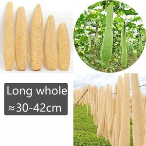 Whole Natural Organic Loofah <b>Sponges</b> Exfoliating <b>Shower</b> Bath Loofah Luffa Body <b>Sponge</b> for SPA Beauty Skin Care about 30-40cm - Product Image 3