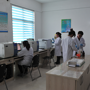 5%-80% <span class=keywords><strong>Panax</strong></span> <span class=keywords><strong>Ginseng</strong></span> nhà máy chiết xuất bột CAS 39262-14-1 màu nâu vàng một phần nhà máy sử dụng gốc thân lá tổng ginsenosides - Product Image 6