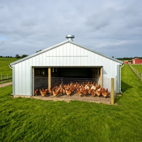 Bâtiment commercial préfabriqué en acier à faible coût, hangar à poulets, structure en acier pour élevage avicole