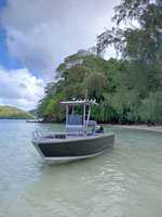 Bateau de pêche sportif et de loisirs à console centrale en aluminium soudé de 5,8 m/19 pieds avec moteur hors-bord