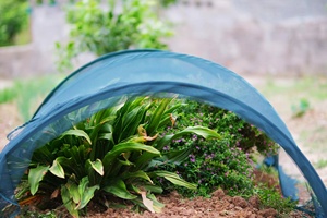 Modern Mesh Anti-Insect Easy Assembly Adjustable Green Mini Metal <b>Garden</b> Tunnel Greenhouse for Plant - Product Image 2