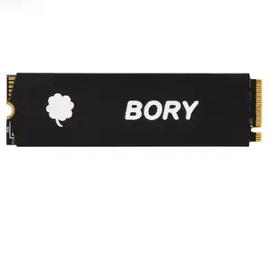 BORY SSD 500GB 1テラバイト2テラバイト4テラバイトSSD M.2 NVMe PCIe 4.0x4 NVMe NV2 2280 SSDドライブPS5デスクトップ用内蔵ソリッドステートディスク