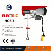 Solution de levage efficace IP54, palan électrique léger à télécommande sans fil Pa200 pour garage, maison, atelier