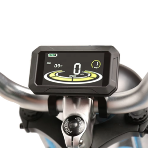 TXED El Eagle ARII4 moto et scooter de tourisme électrique 48V 1000W moteur gros pneu plage Cruiser vélo 32-40 km/h vitesse maximale - Product Image 4