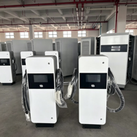 Nouvelle Station de Recharge Rapide DC pour Véhicules Électriques 60kW à Double Pistolet, 4G, Ethernet, Paiement par Scan APP, Étanchéité IP54, Certifiée CE, 95%
