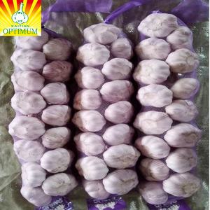 Aglio fresco cinese nuovo raccolto fornitura di ail come aglio normale bianco e bianco puro alho ajo dal produttore all'ingrosso di aglio - Product Image 1