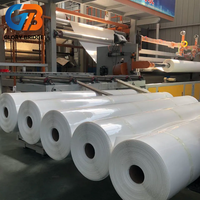 Membrana de Techo TPO Blanca de Alta Calidad, Membrana de Techo de Poliolefina Termoplástica, Membrana de PVC con Precio de Fábrica