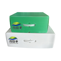 Excelente Venta De fábrica reciclado nuevo diseño PP corrugado Coroplast caja de almacenamiento de plástico/caja plegable corrugada PP