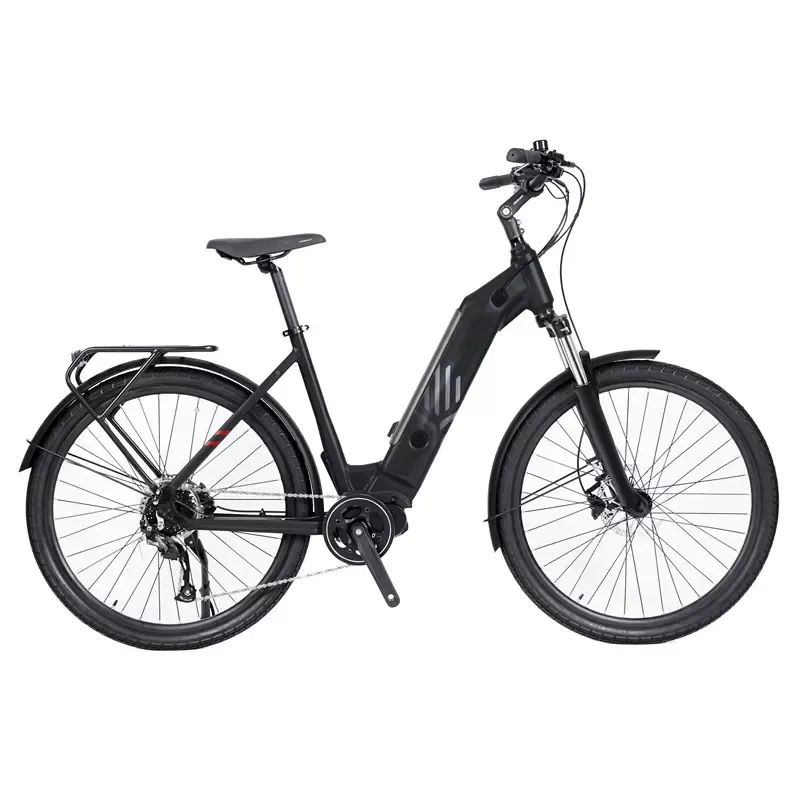 OT2906 Adult 1000 Watts High Range Motor E -bike Vintage Electrical Bicycles/Electric City Bike 1000w Velo Electrique Ebike