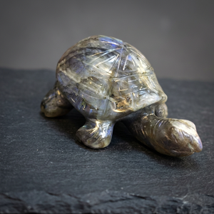 Natural Labradorite Turtle <b>Figurine</b> Hand Carved Gemstone Animal Statue <b>Crystal</b> Home Decor Feng Shui Collectible Gift - Product Image 2