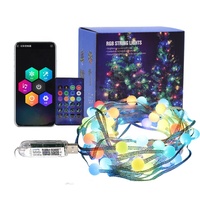 Guirlande lumineuse LED intelligente APP, USB 5V, télécommande, contrôle ponctuel, ampoule boule étanche, fil en cuir, lampe intelligente, décoration de jardin
