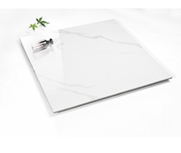 Carreaux de sol et escaliers en marbre Carracat Super Blanc 1200x470 mm