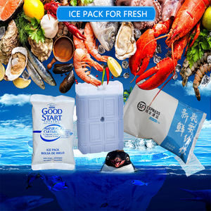 食品、医薬品、医療製品などの安全な輸送のための優れた再利用可能な長持ちするジェルパック。 - Product Image 5