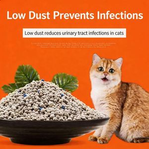 Arena para Gatos de Bentonita Gris de Sodio Aglomerante de Alta Absorción en Forma de Bola de 10L, Venta al por Mayor Directa de Fábrica BENJIE, Compra a Granel, Elimina Olores Extra - Product Image 3