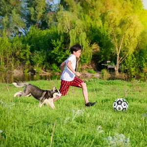 Pet Training Interaktives Hundes pielzeug Neuheiten Fußball mit Tabs Pet Toys für Hunde und Katzen