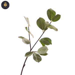 R193 Venta caliente hogar decorativo verde flocado hojas de eucalipto artificiales plantas - Product Image 5