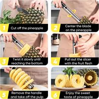 Outil manuel en acier inoxydable pour éplucher et trancher les fruits, coupe-ananas domestique, extracteur de noyau