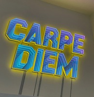 Enseignes personnalisées pour entreprises : Lettres en relief LED, lettres 3D en acrylique, enseignes de logo pour devanture de magasin sans LED, enseignes de logo extérieures LED roses