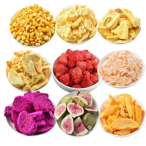 Top Selling Factory Healthy Delicious Freeze Dried Strawberry Snacks Freeze Dried Fruit Yogurt Whole/Slice/Dice for Fruit Salad