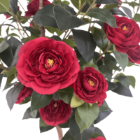 CHUANGFA 152cm Bonsaï artificiel Camélia en plastique, plante décorative pour la maison et les mariages, magnifiques plantes artificielles, verdure