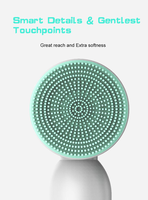 Vente en gros de nouveaux outils de soins de la peau Machine de nettoyage du visage Brosse de nettoyage du visage à main souple et étanche