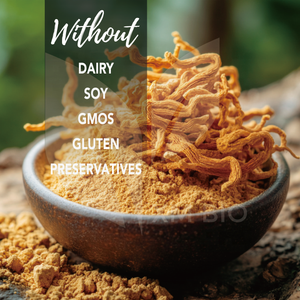 Polvo de extracto de Cordyceps puro personalizado para energía Natural y vitalidad Polvo de hongo Cordyceps superalimento a base de plantas - Product Image 2