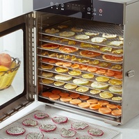 Visuele Temperatuurregeling Groente- en Fruitdroger Commerciële RVS Gedroogde Fruitmachine Huishoudelijk