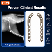 Plaque osseuse orthopédique vétérinaire pour animaux, plaque de blocage fémorale distale en alliage de titane pour chat et chien, conception anatomique pour fracture