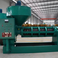 YZYX168 Guangxin – Fabricant professionnel de presses à huile à vis – Machine d'extraction d'huile à froid pour arachides, soja et noix de coco
