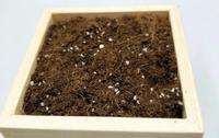 SUBSTRAT DE FIBRES ORGANIQUES DE TOURBE DE COCO BASSE EC et ÉQUILIBRE DE PH BRIQUE DE COCO DE NOIX DE COCO SOL DE PLANTE À HAUTE EXPANSION