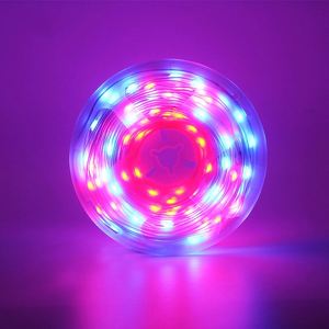10m RGB Full Colour Waterproof App Lamp String Light Christmas Decorative Lighting for Holiday Atmosphere IP44 Rated - Product Image 3