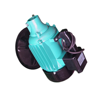 Neuer Typ Kleiner Vibrator mit Leistungsstarkem Motor 5PS 4-Takt Tragbarer Betonvibrator