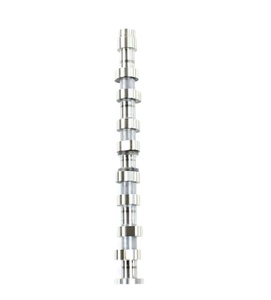 Árbol de Levas de Alta Calidad OE 032109101AH para FOXGOL NOVO GOL G5 <span class=keywords><strong>POLO</strong></span> SPACE FOX 1.6, Piezas de Motor Automotriz Novo GOL G5 <span class=keywords><strong>Polo</strong></span> Space Fox 1.6 - Product Image 1