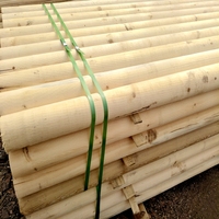 Bâtons à peler et bâton en bois de camphre, bâtons ronds en bois pour la randonnée écologiques, avec planche, vente en gros, 10 pièces