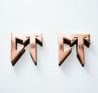 Plaques de logo personnalisées en alliage de zinc pour sacs à main de luxe - Étiquettes de marque gaufrées écologiques anti-électroplaquées pour vêtements/sacs