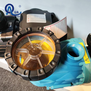 Pompe à eau de piscine enterrée en fibre de verre 1 CV, modèle WATER CROWN, à circulation et filtration, 67,3 GPM, AC 110-240V, vente chaude - Product Image 3