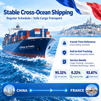 Agent d'expédition DDP Chine vers France, transitaire maritime FCL, services logistiques porte-à-porte depuis Shanghai pour le fret importé