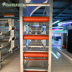 Tasarım komple kümes hayvanları tavuk çiftlik kafesi <span class=keywords><strong>Broiler</strong></span> ve damızlık için - Product Image 2
