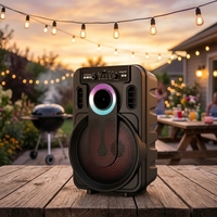 Altavoz Inalámbrico Portátil ABS-8101 con Luz RGB, Bajos HiFi Estéreo, Logotipo Personalizado de Fábrica, Entrega en 7 Días, Nombre BT Personalizado 2026 Elite