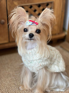 Suéter de Lujo Clásico de Ganchillo para Perra <span class=keywords><strong>Galgo</strong></span> Italiano, Ropa Personalizada para Mascota 100% Lana de Cachemira - Product Image 6