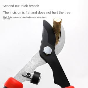 Ciseaux de <span class=keywords><strong>sécateur</strong></span> de commerce spécial <span class=keywords><strong>pour</strong></span> le jardinage élagage grandes <span class=keywords><strong>branches</strong></span> d'arbres fruitiers grossiers - Product Image 2