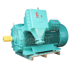 Motor a Prueba de Explosiones de Alto Voltaje AC 6kv, Motor Eléctrico a Prueba de Explosiones de Alto Voltaje - Product Image 5