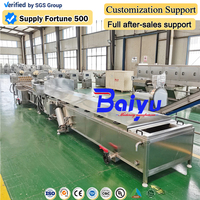 Baiyu Baiyu industriële continue blancheringsmachine voor voedselverwerkingsfabrieken met aangepaste capaciteit