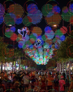 Display natalizio di lusso <span class=keywords><strong>Luces</strong></span> <span class=keywords><strong>Navidenas</strong></span> motivo a LED luce per la decorazione della luce natalizia nella luce del motivo del Festival di carnevale - Product Image 4