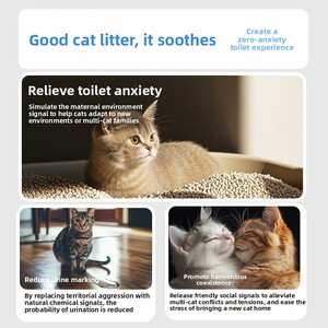 <span class=keywords><strong>Arena</strong></span> <span class=keywords><strong>para</strong></span> <span class=keywords><strong>Gatos</strong></span> Ecológica y Desechable de Alta Calidad, 2.4 kg, Biodegradable, Libre de Polvo, Control de Olores, Aglutinación Rápida, <span class=keywords><strong>Arena</strong></span> Mixta Antiadherente - Product Image 2