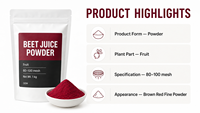 Poudre de jus de betterave pure de qualité GMP, anthocyanine, extrait de betterave rouge soluble dans l'eau pour complément alimentaire, vente en gros