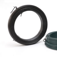 Fil de Jardin Rond en Métal Revêtu de PVC, Résistant aux Intempéries, Flexible, Noir et Vert