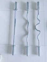 Gym Exercise Olymp 1.2m Super Curl Haltérophilie Barre de fitness compétitive pour squats