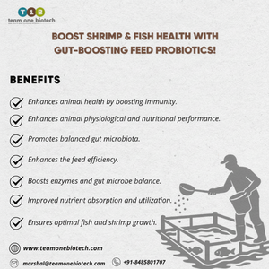 Apoyo a la Nutrición de los Peces con Aditivos Probióticos para Alimentos - Product Image 1